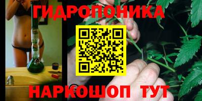 apvp Новодвинск