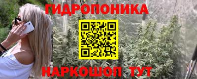 гидра Новокубанск