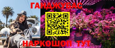 гидра Новокубанск