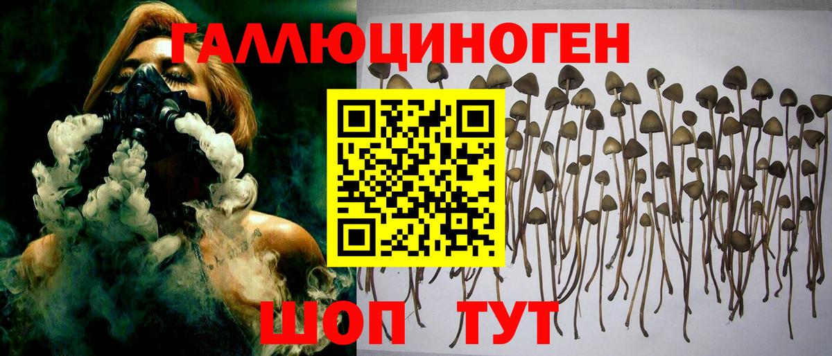Псилоцибиновые грибы Cubensis Троицк