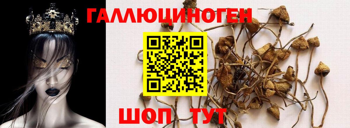 Лсд 25  Вход с VPN  Бошки Шишки  Троицк  МЕФ   ГАШИШ  COCAIN 