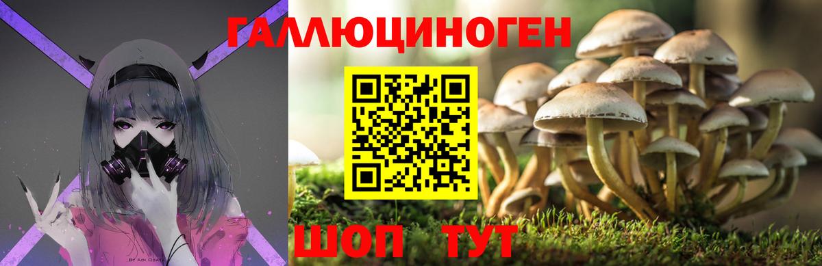 Галлюциногенные грибы Magic Shrooms  Вход с VPN  Троицк 
